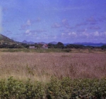 Field Crops Around Limlair.